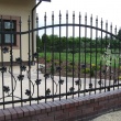 ogrodzenie053